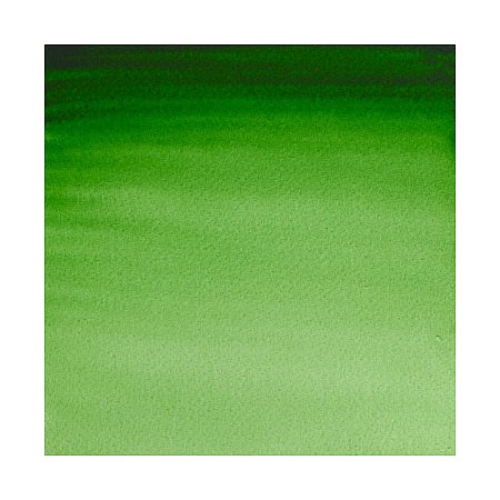 Winsor & Newton Professional Watercolour 1/2 pan - 311 Hookers green