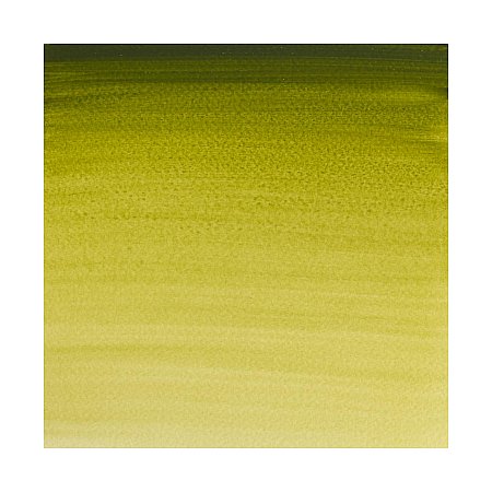 Winsor & Newton Professional Watercolour 1/2 pan - 447 Olive green