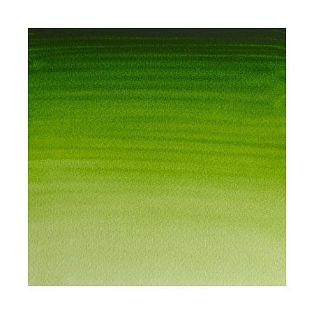 Winsor & Newton Professional Watercolour 1/2 pan - 503 Permanent sap green
