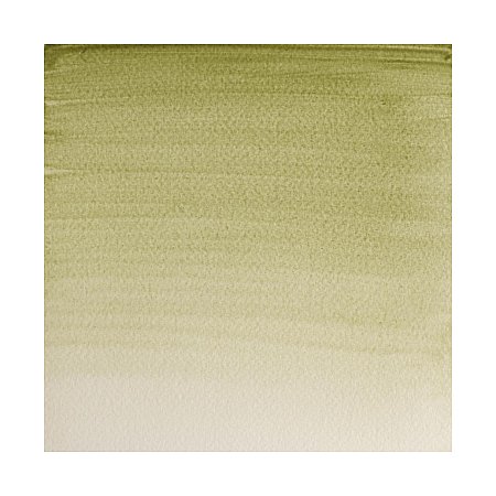 Winsor & Newton Professional Watercolour 1/2 pan - 638 Terre Verte (Yellow Shade)
