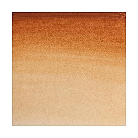 Winsor & Newton Professional Watercolour 1/2 pan - 059 Brown Ochre