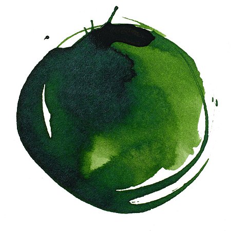 Liquitex Professional Ink 30ml - 315 Sap Green Permanent