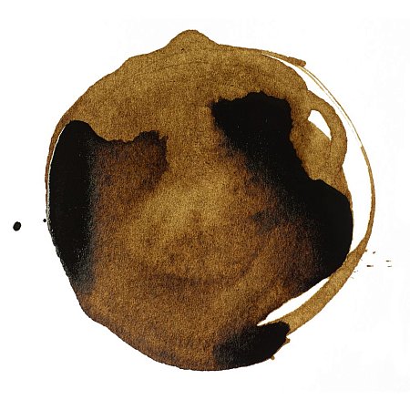 Liquitex Professional Ink 30ml - 333 Transparent raw umber