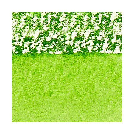 Winsor & Newton Professional Watercolour Sticks - 503 Permanent Sap Green