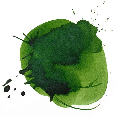 Liquitex Professional Ink 30ml - 224 Hookers Green Hue Permanent