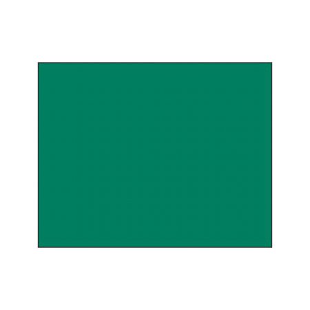 Faber-Castell Pitt Pastel Pencil - 159 hookers green