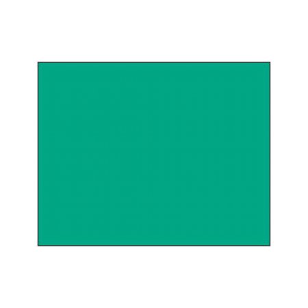 Polychromos Pencil - 161 phtahlo green
