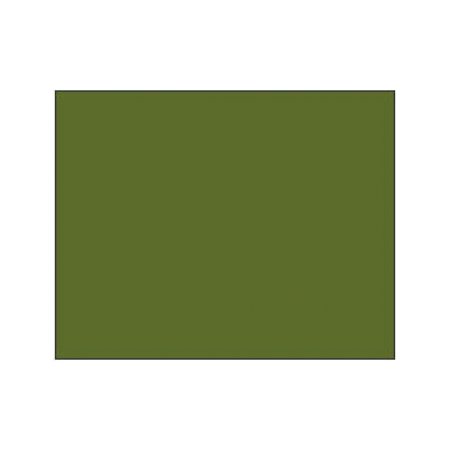 Polychromos Pencil - 173 olive green yellowish