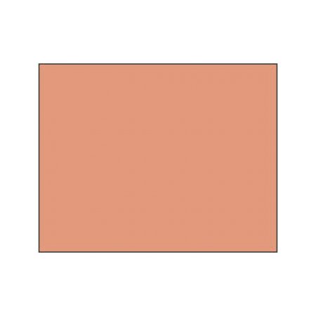 Polychromos Pencil - 189 cinnamon