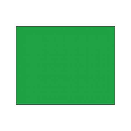 Polychromos Pencil - 266 permanent green
