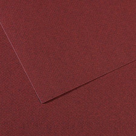 Mi-Teintes 160g 55x75cm - 503 wineless