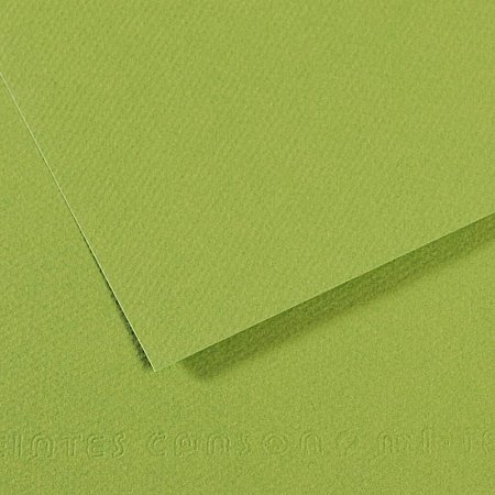 Mi-Teintes 160g 50x65cm - 475 Apple Green