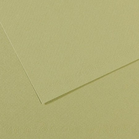Mi-Teintes 160g 50x65cm - 480 Light Green