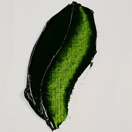 Rembrandt oil 40ml - 623 Sap green