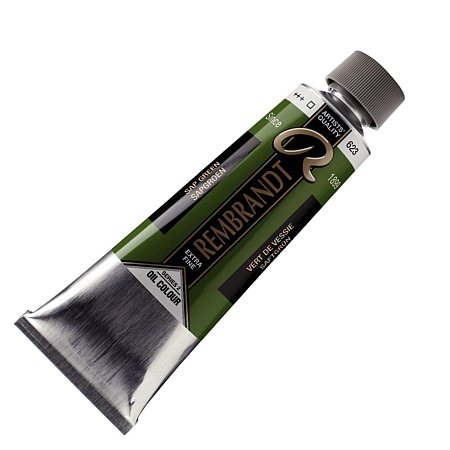 Rembrandt oil 150ml - 623 Sap green