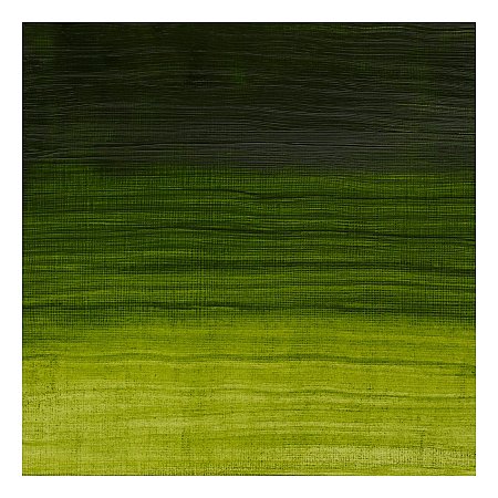 Winsor & Newton Artisan 37ml - 503 Permanent sap green