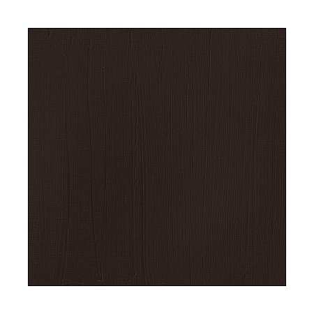 Winsor & Newton Professional Acrylic 60ml - 076 Burnt Umber