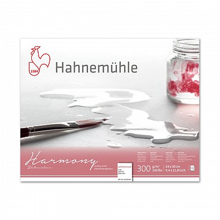 Hahnemühle Hahnemühle Harmony 12 sheets 300g CP - 24x30cm