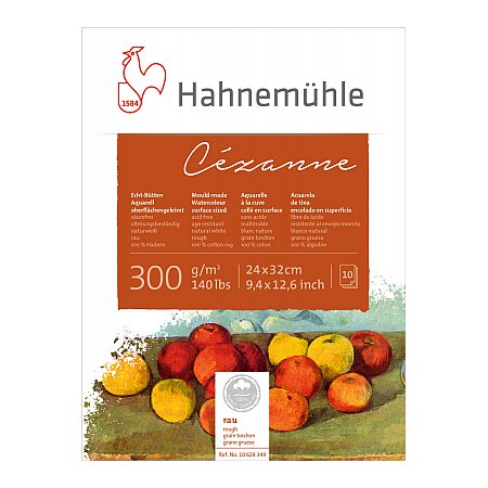 Hahnemuhle Cezanne, block 300g,10 ark, rough - 24 x 32cm