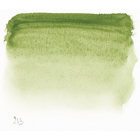 Sennelier l’Aquarelle 1/2 pan - 213 Green Earth