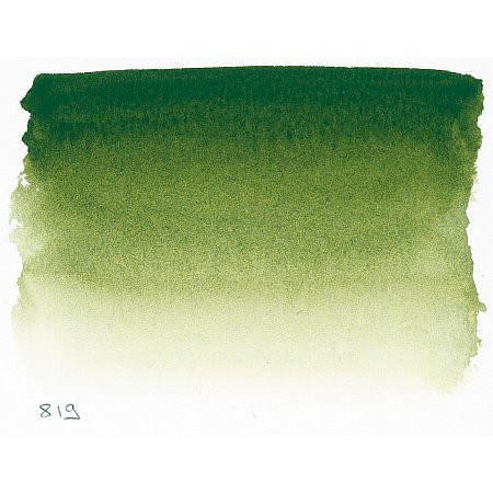 Sennelier l’Aquarelle 1/2 pan - 819 Sap Green