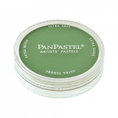 PanPastel 9ml - 660.5 Chromium Oxide Green