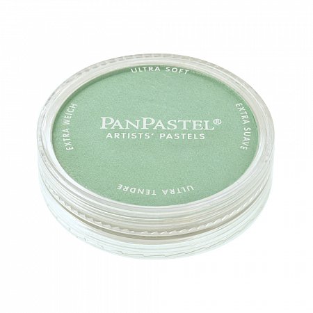 PanPastel Pearlescent 9ml  - 956.5 Green