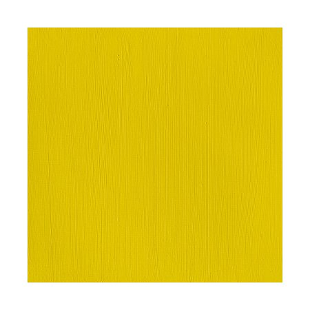 Winsor & Newton Professional Acrylic 60ml - 113 Cadmium Yellow Light
