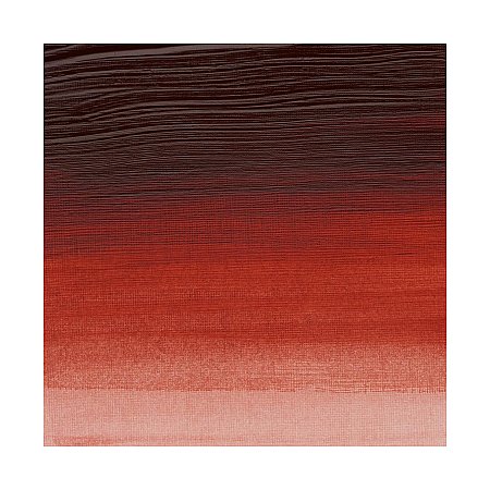 Winsor & Newton Professional Acrylic 60ml - 549 Burnt Orange