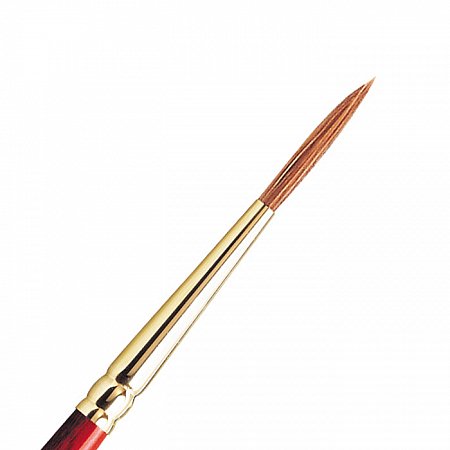 W&N Sceptre Gold II, serie 202, Long Round - 0